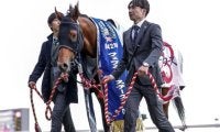 【武蔵野S想定騎手】コスタノヴァはC.ルメール騎手、オメガギネスは岩田康誠騎手