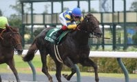 【先週のJRA抹消馬】ダート短距離重賞3勝のドンフランキー、昨年の六甲Sを制したボルザコフスキーなど