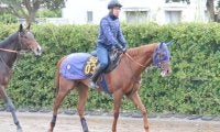 全兄が米G1馬のダノンマスタング 田中博師「いいスピードがありそう」/関東馬メイクデビュー情報