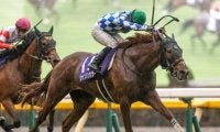 【マイルCS出走馬決定順】フルゲート18頭に22頭が登録 GI馬シャンパンカラーなど4頭が除外見込み