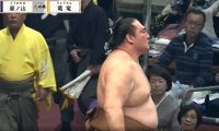 「割れてる」「パックリだ」振り返った力士の姿にファン衝撃 幕内の取組でアクシデント