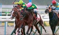 後の名ジャンパー・タガノエスプレッソが重賞初制覇 14年のデイリー杯2歳Sを回想