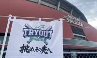 昨季の合格者は「3/45」　6.6％の“狭き門”…支配下登録ゼロ、トライアウトの厳しい現実