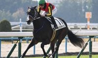 【エリザベス女王杯】18頭の香港馬名・馬名意味を紹介！『毛茸茸』『北島名花』はどの馬？