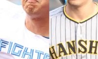 日ハム・伏見寅威と阪神・島本浩也がトレード！補強ポイントが合致