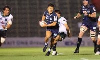 勝負のD1・2年目。新体制で的確な補強を敢行