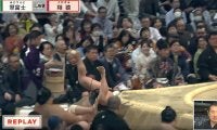 力士が“ムーンサルト風”土俵下落下の衝撃決着 「張られるし、ガッツリ負けるし、痛々しい」元力士解説も同情
