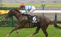 【競馬予想】エリザベス女王杯は人気薄馬の血統も要チェック　本命の有馬記念馬レガレイラに対抗しそうな２頭は？