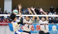 慶応義塾が神奈川第1代表で全国へ　決勝で東海大相模を下す／春高バレー