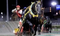 【ばんえい十勝】重賞2勝のインビクタ号が死亡