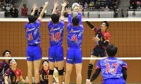 春高バレー京都府予選　男子は東山　女子は京都橘　１月の全国大会への切符つかむ