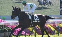 【京都5R新馬戦結果】キセキ産駒アクセスが人気に応えて完勝
