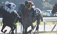 【黄菊賞結果】ノチェセラーダがゴール前で差し切り2連勝