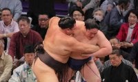 朝乃山３日目から６連勝　再入幕のライバルとなりそうな藤青雲を退ける「昔の自分のような相撲」