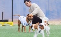 「#友達はデコピン」山本由伸が愛犬の名前を初披露　「散歩、昼寝、ご飯が大好き」　210万人超フォロワー大興奮「陰のMVP」