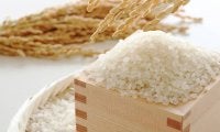 お米は太る？改めて見直したい「米」の魅力と品種ごとのおいしい食べ方