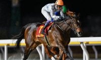 【先週のJRA抹消馬】ダート重賞3勝のオーサムリザルト、2戦2勝で引退のフィロステファニなど