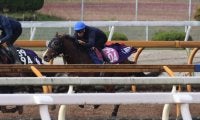 おじはダービー馬シャフリヤール 月曜東京で初陣迎えるグラスベルグ/関西馬メイクデビュー情報