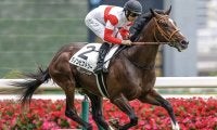 【東スポ杯2歳S想定騎手】ダノンヒストリーはD.レーン騎手、ゾロアストロはT.マーカンド騎手