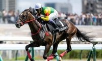 【福島記念展望】データが後押し、4歳馬エコロヴァルツが中心