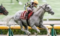 【マイルCS】21頭の香港馬名・馬名意味を紹介！『地神力』『生活格調』はどの馬？