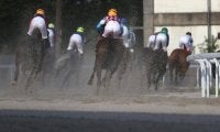 【笠松・ラブミーチャン記念結果】1番人気ココキュンキュンが重賞3連勝を飾る