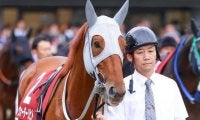 【マイルCS】2年目の高杉吏麒騎手 ウォーターリヒトでGI初制覇なるか