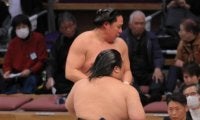 新十両の藤凌駕が11勝目　にしたんクリニックから贈られた化粧まわしに「すごいかっこいい」