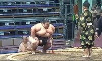 土俵の降り方が「かわいい」226キロの超巨漢力士、“まさか”の行動にファン驚き