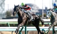 【福島記念枠順確定】クリスマスパレードは1枠1番、エコロヴァルツは4枠8番