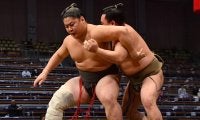 豪正龍が７戦全勝で序ノ口優勝　行司軍配差し違えで決まり手は「後ろもたれ」