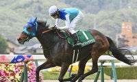 今年の福島牝馬S覇者アドマイヤマツリが引退 今後はスマイルファームで繁殖入りの予定