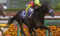 今週の武豊騎手は18鞍 マジックサンズでマイルCSの12年ぶり3勝目狙う