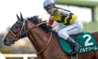 重賞2勝のアルナシームが引退 今後は乗馬に