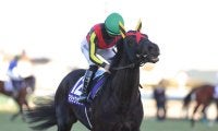 武豊騎手 今週の騎乗馬…マイルCSはマジックサンズで一発を狙う