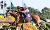 【競馬予想】マイルCSで注目は４歳牝馬２頭　ＧⅠ馬６頭が揃うなかで見るべき血統は？
