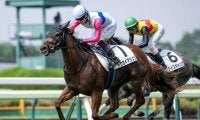【園田・兵庫ジュニアGP枠順】エーデルワイス賞2着のトウカイマシェリは8枠12番