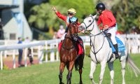 【香港競馬】強すぎる！カーインライジングが15連勝…ジョッキークラブスプリント圧勝