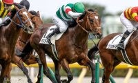 【ジャパンC見どころ】23年のダービー馬タスティエーラが巻き返す