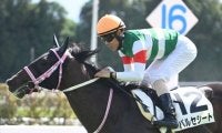 【京都2歳S想定騎手】バルセシートはC.デムーロ騎手、ウイナーズナインは西村淳也騎手