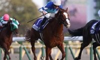 勝ち馬の9割が3枠より内 ジャパンCは枠順がカギ