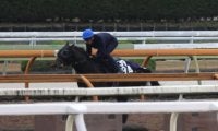 GI・4勝馬ラヴズオンリーユーの初仔などが今週末初陣/関西馬メイクデビュー情報