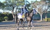 近親にオークス馬がいるウルフマン 手塚師「軽い走りで切れがありそう」/関東馬メイクデビュー情報