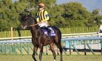 ジャンタルマンタルが史上初の芝マイルGI完全制覇 その血統背景は種牡馬としても期待ふくらむ