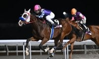 【地方競馬】LJSザ・ファイナルは小笠原羚騎手が頂点、シリーズは今回で終了