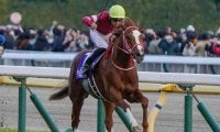 【ジャパンC】「母の父ガリレオ」のJRA・GI初制覇なるか シンエンペラーが悲願のビッグタイトル狙う