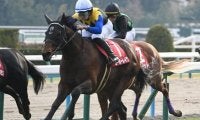 【ジャパンC予想】堅い決着目立つ最強決定戦 AIが導いた“超穴馬”とは