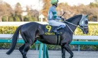 【京阪杯展望】好走データ揃う4歳牡馬ペアポルックスが巻き返す