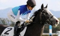 川田将雅騎手がジャパンC初制覇なるか アドマイヤテラと参戦