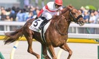 11年前の父に続け！ ダノンデサイルがエピファネイア産駒初のジャパンC制覇なるか
